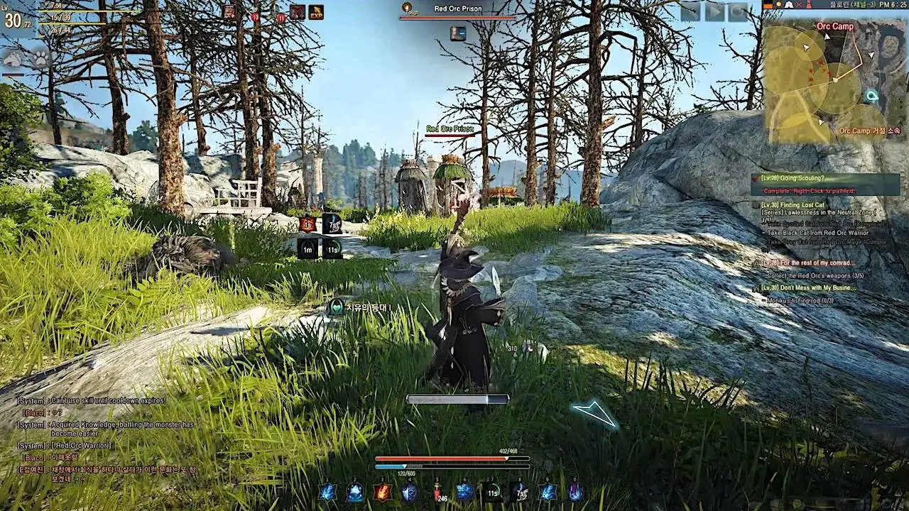 black desert online character creator black screen