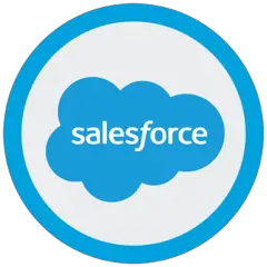 Salesforce Console - Puan: 91%