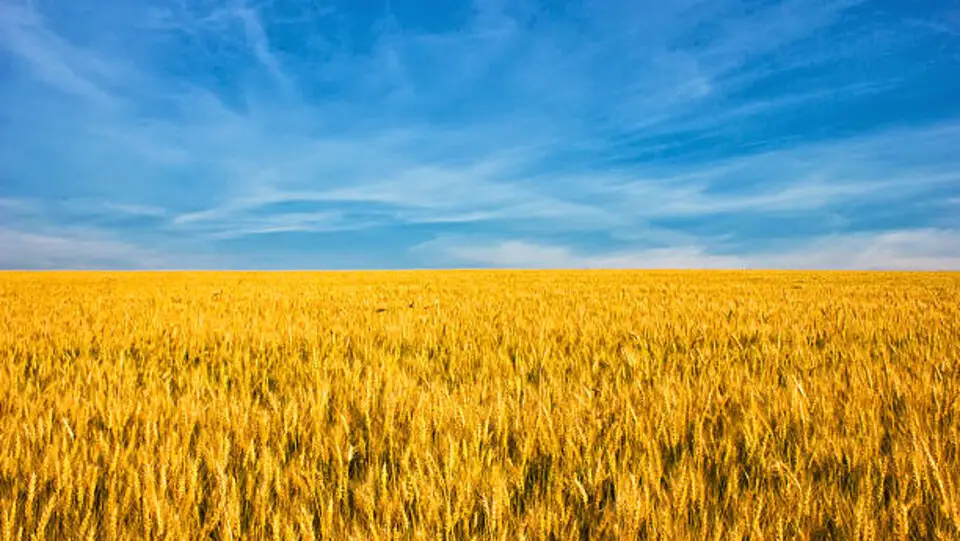 Ukraine's victory is near
