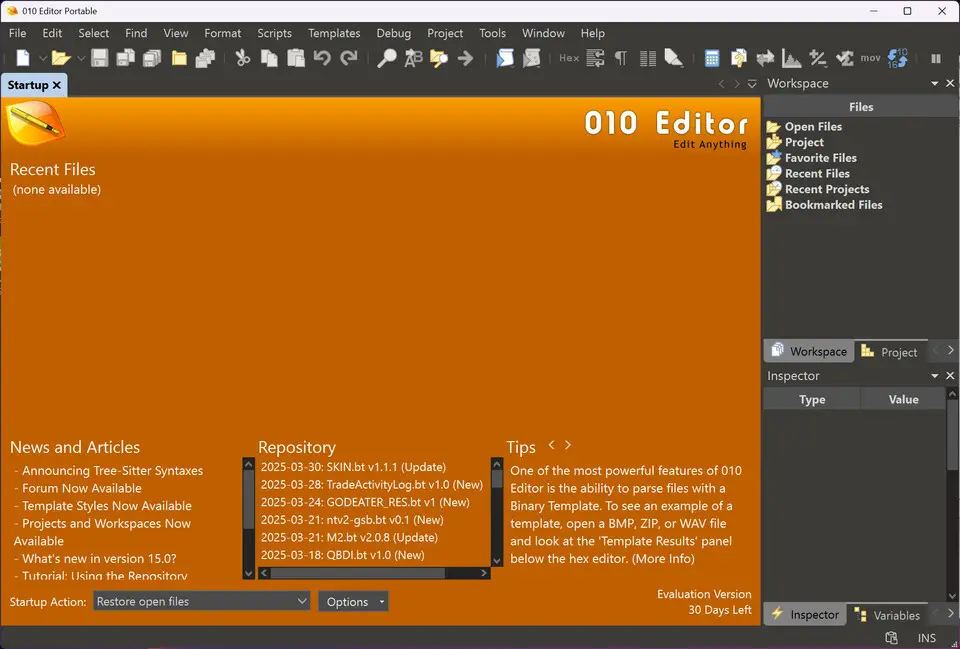 010 Editor