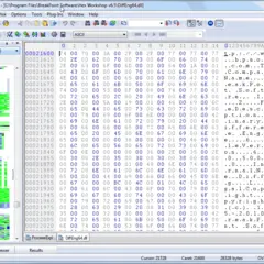 Hex Workshop 6.8.0