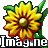 Imagine (Image and Animation Viewer)