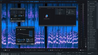 RX 8 Audio Editor (macOS)