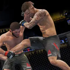 UFC 4 (PlayStation)