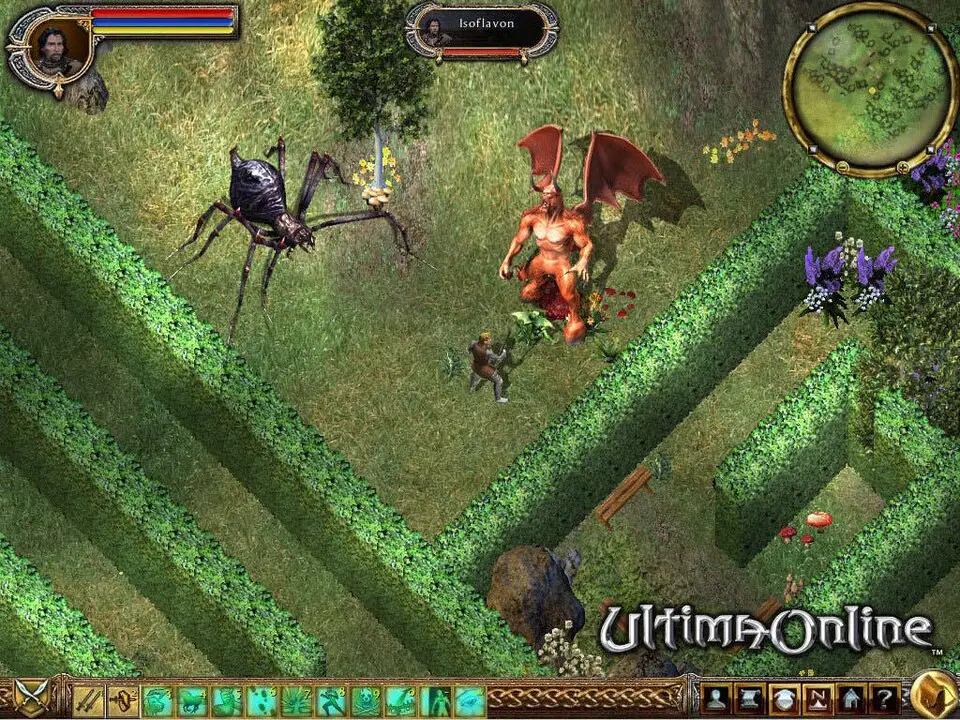 Ultima Online