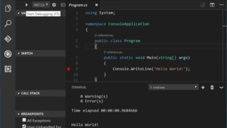 Visual Studio Code (Windows)