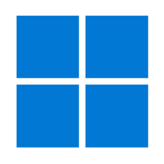 Windows 11