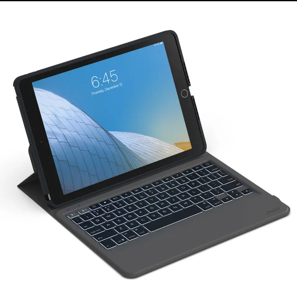 Zagg keyboard (iPad)